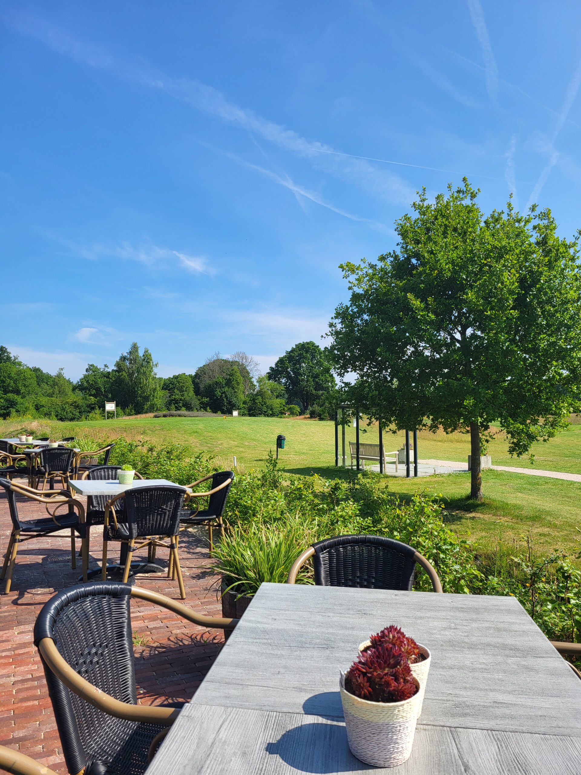 terras de hildenberg