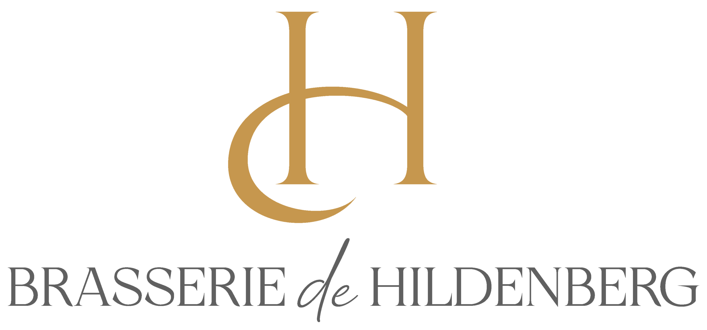 logo de Hildenberg